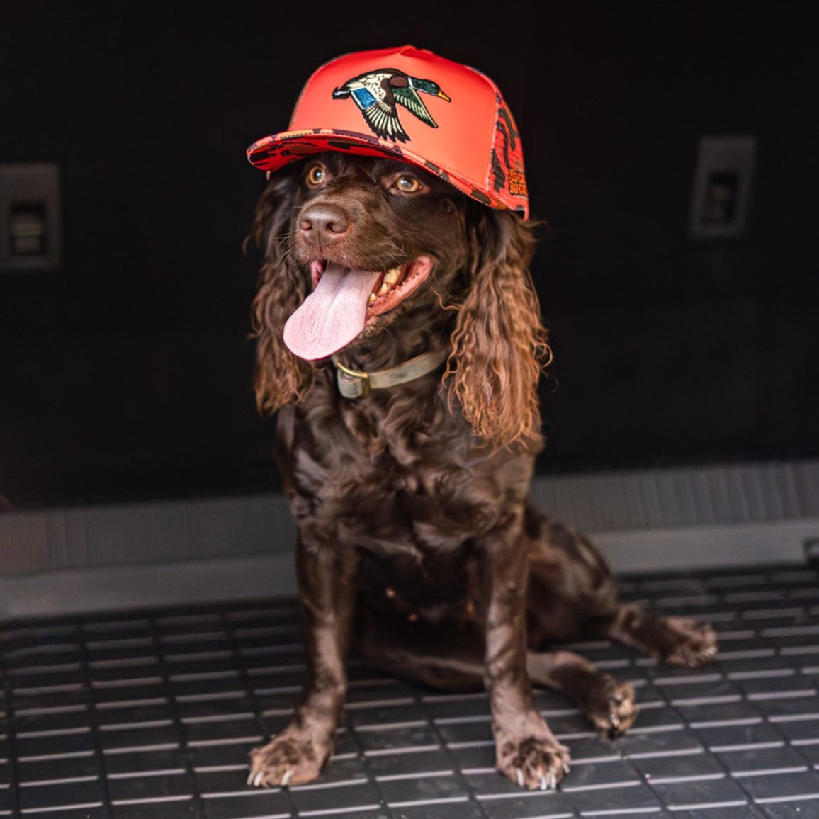 Mallard Orange Camo Trucker Bucket